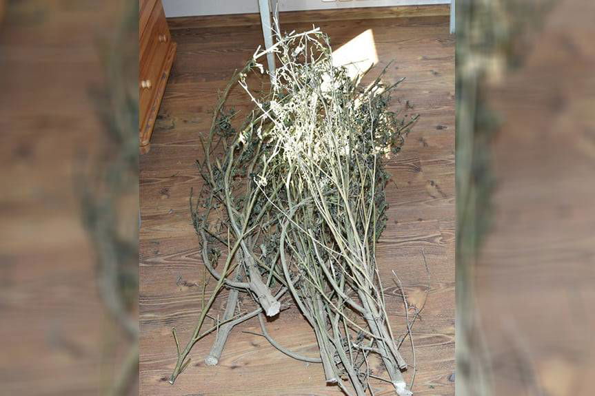 Jechał po narkotykach. Wpadł przez pasy