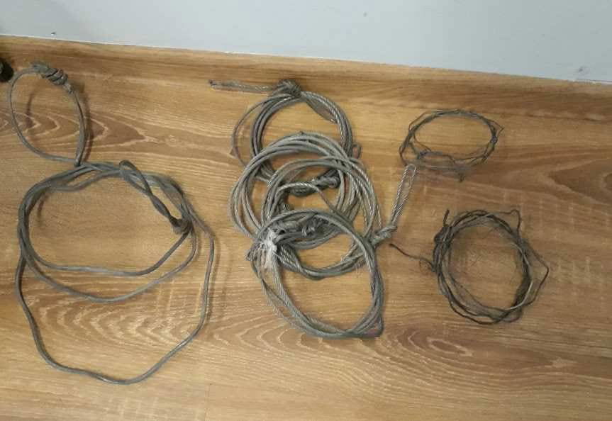 Wnykarz wpadł w "sidła"