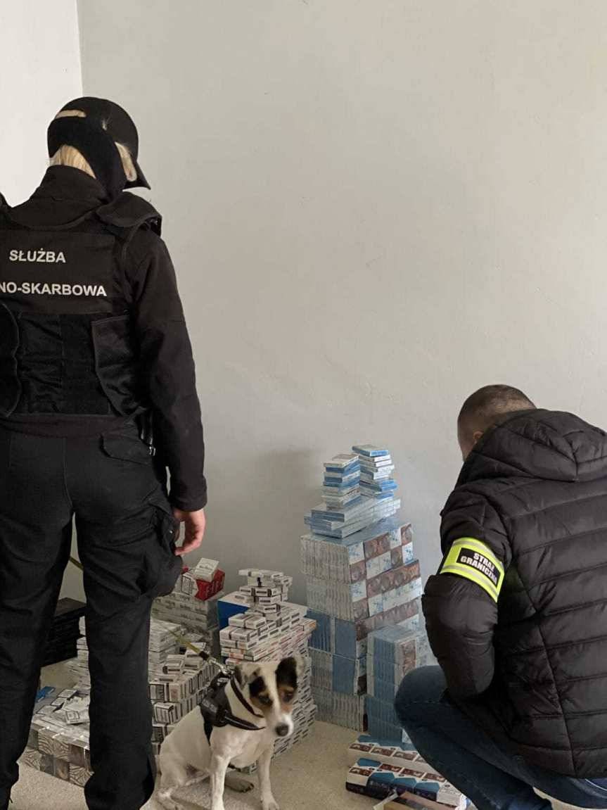 Papierosy bez akcyzy i krajanka tytoniowa