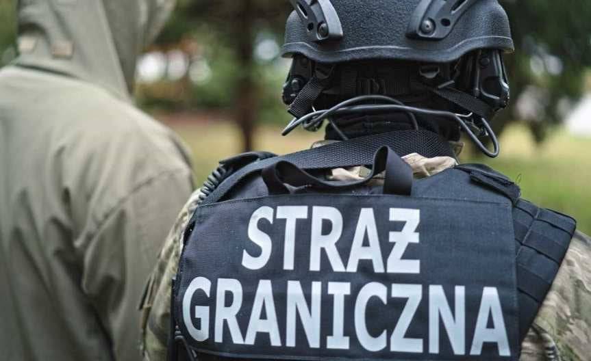 Podstawieni na egzaminie z języka polskiego