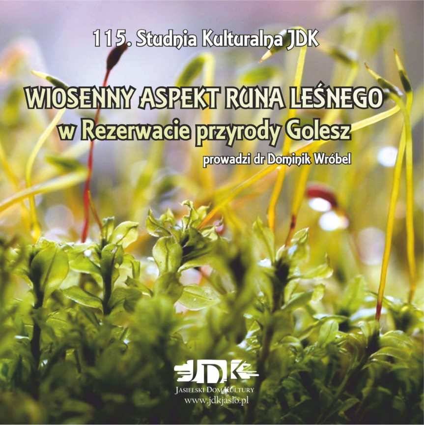 Studnia Kulturalna JDK: wiosenny spacer po Goleszu