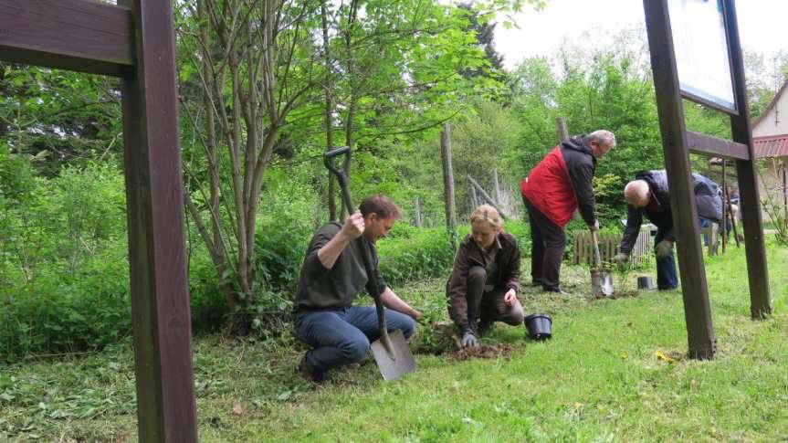 W "lesie pszczelarskim" świętowali Dzień Pszczół