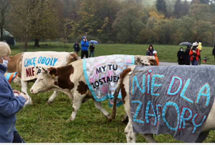 Artystyczny protest Sióstr Rzek przeciw budowie zapory w Myscowej