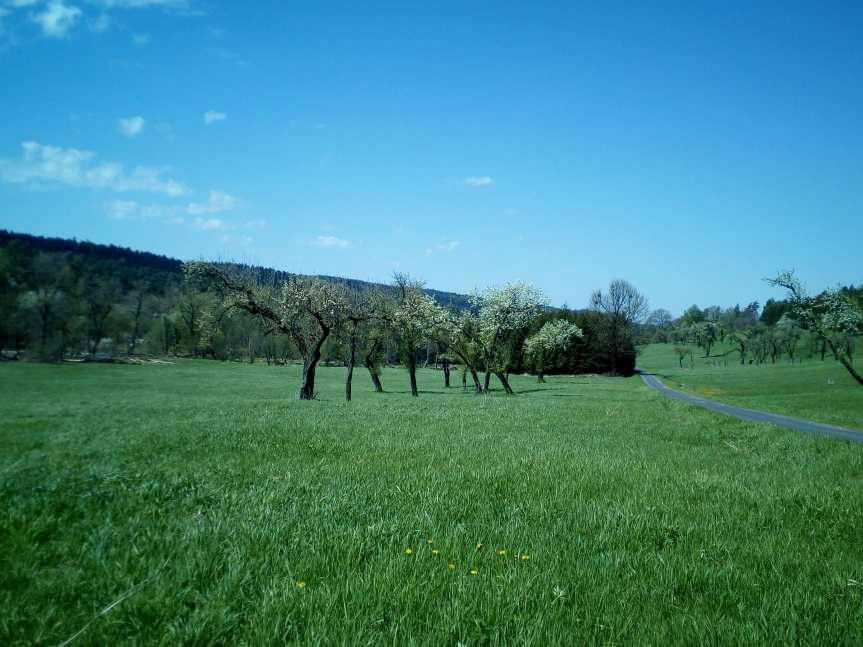 Trwają leśne sianokosy
