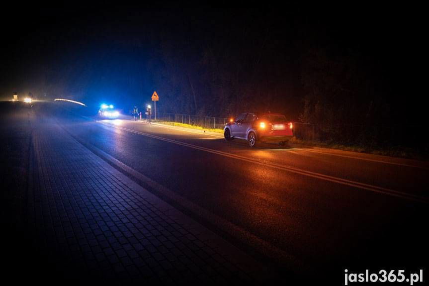 Potrącenie pieszego w Trzcinicy