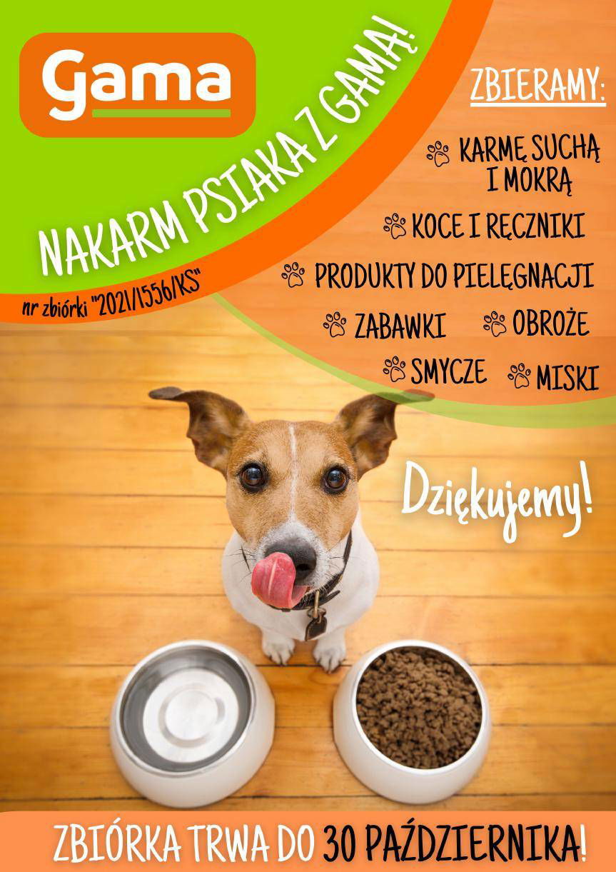 Możesz pomóc czworonogom