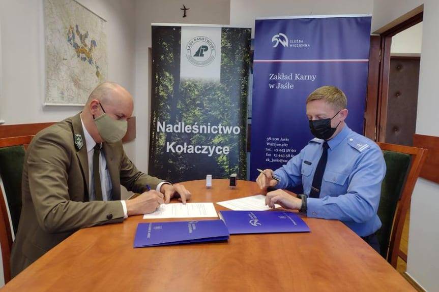 Więźniowie będą sprzątać w lesie