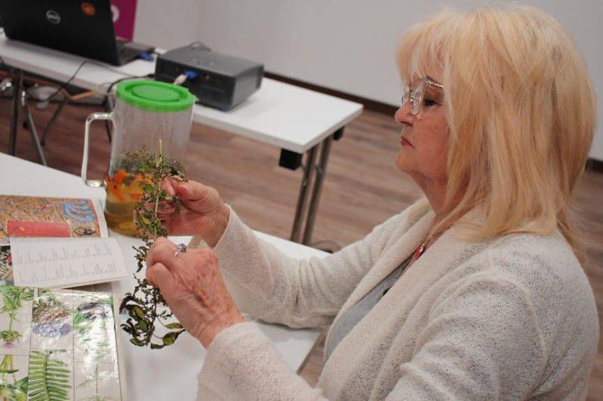 Zioła. Nie może ich zabraknąć w twojej apteczce