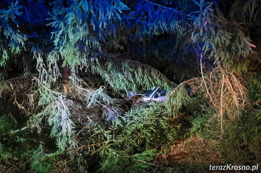 REGION. Audi uderzyło w busa i wypadło z drogi