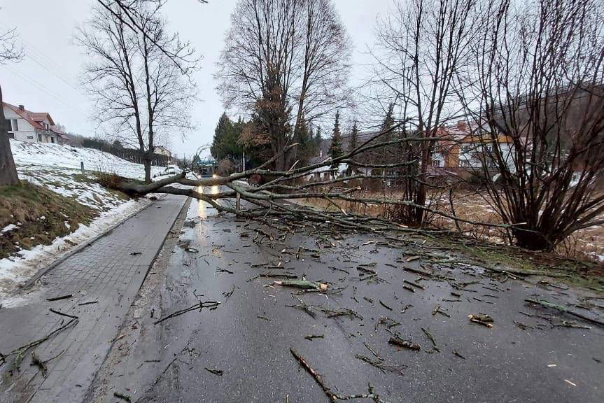 Strażacy walczyli ze skutkami silnego wiatru