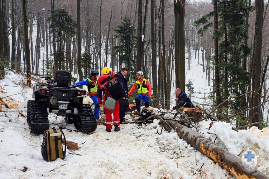 Tragiczny wypadek w lesie. Zginął mężczyzna