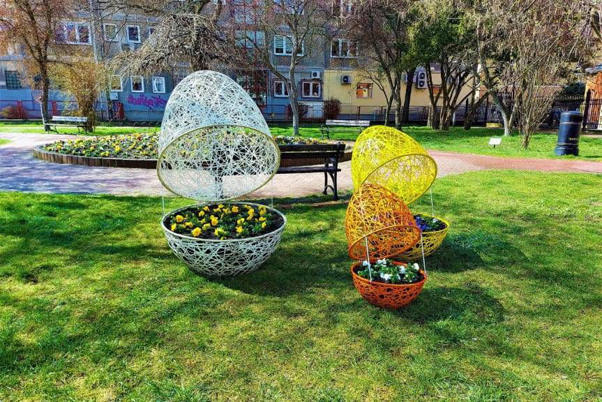 Jasło. W mieście pojawiło się tysiące wiosennych kwiatów