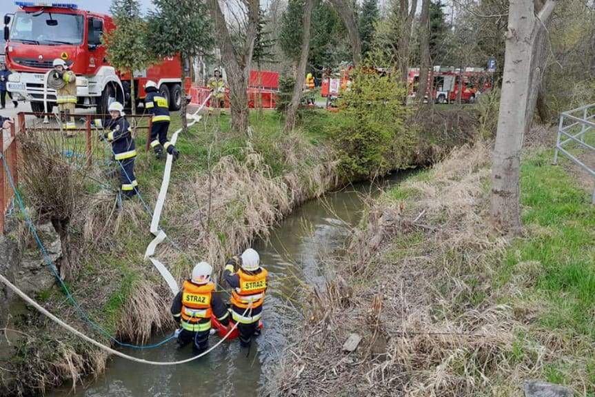 Międzygminne ćwiczenia strażaków z zakresu pożaru lasu