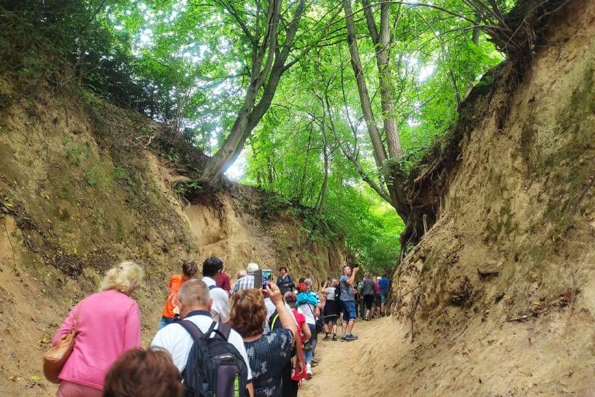 Zwiedzali Kazimierz Dolny