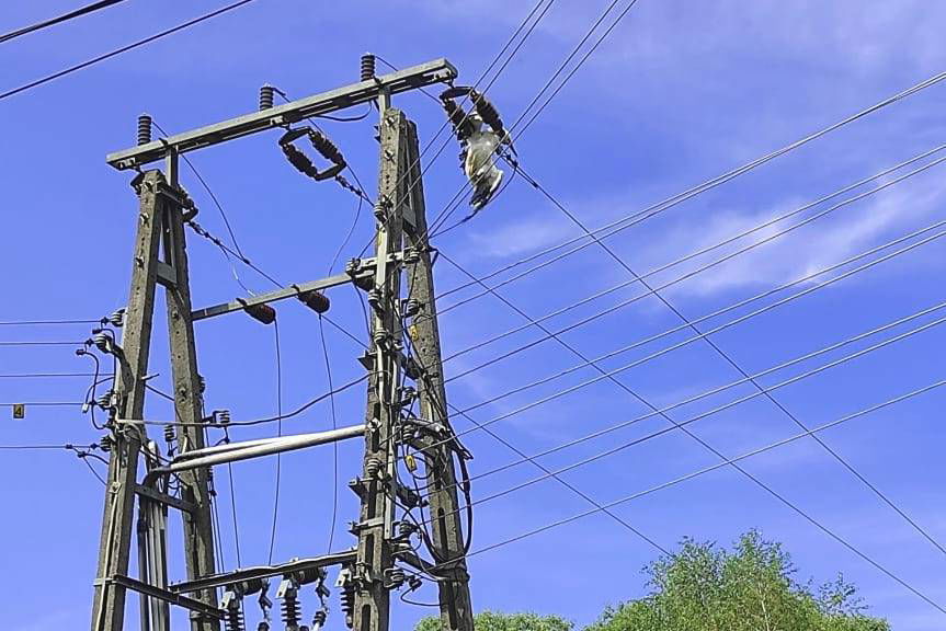 Bocian śmiertelnie porażony prądem