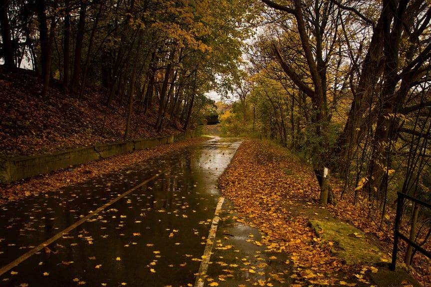 Policja apeluje o ostrożność na drodze w jesienne dni