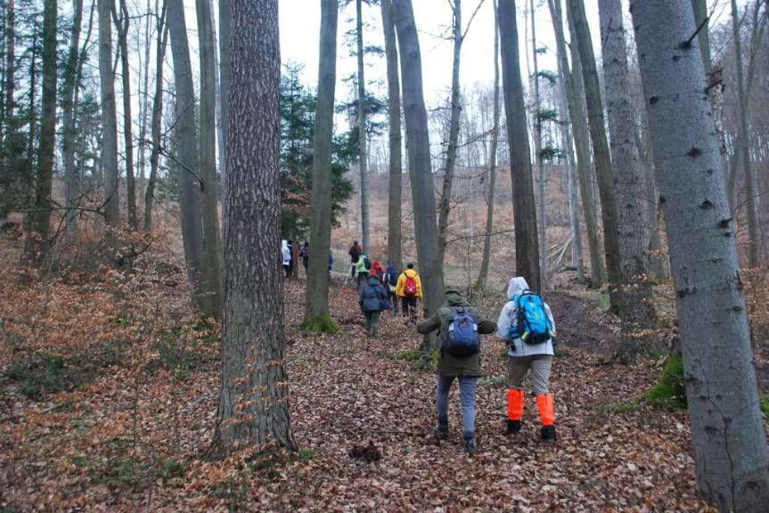 Odkrywanie uroków przyrody podczas wędrówki przez Czarnorzecko-Strzyżowski Park Krajobrazowy