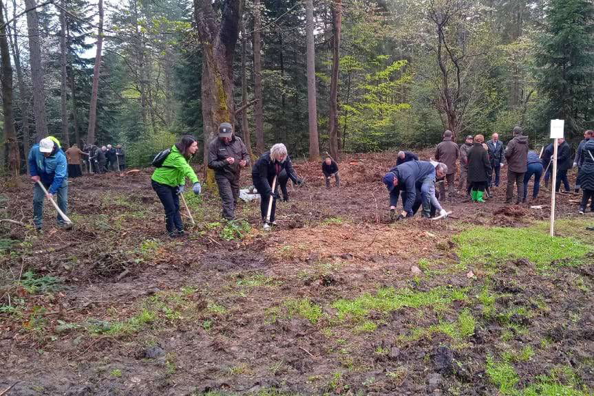 Sadzili Las Pamięci Jana Pawła II