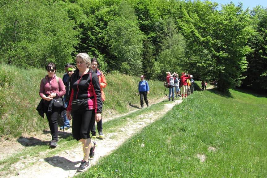Pieszo po Beskidzie Sądeckim