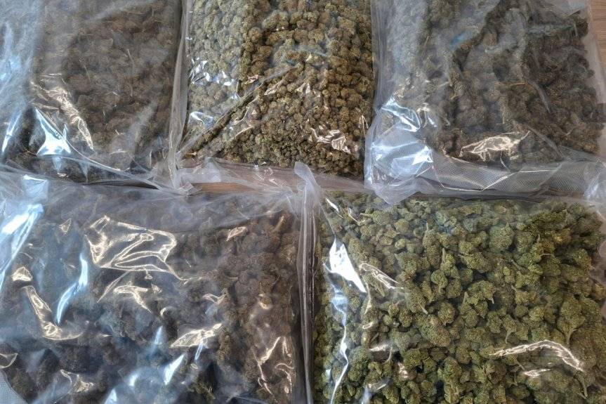 Udana akcja policji. Zabezpieczono narkotyki warte 250 tys. zł