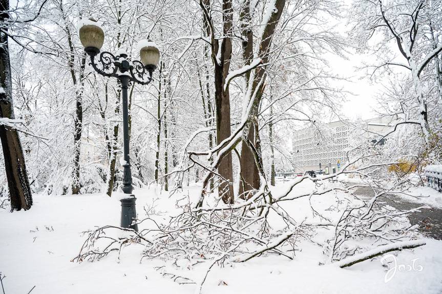 Park w Jaśle czasowo zamknięty