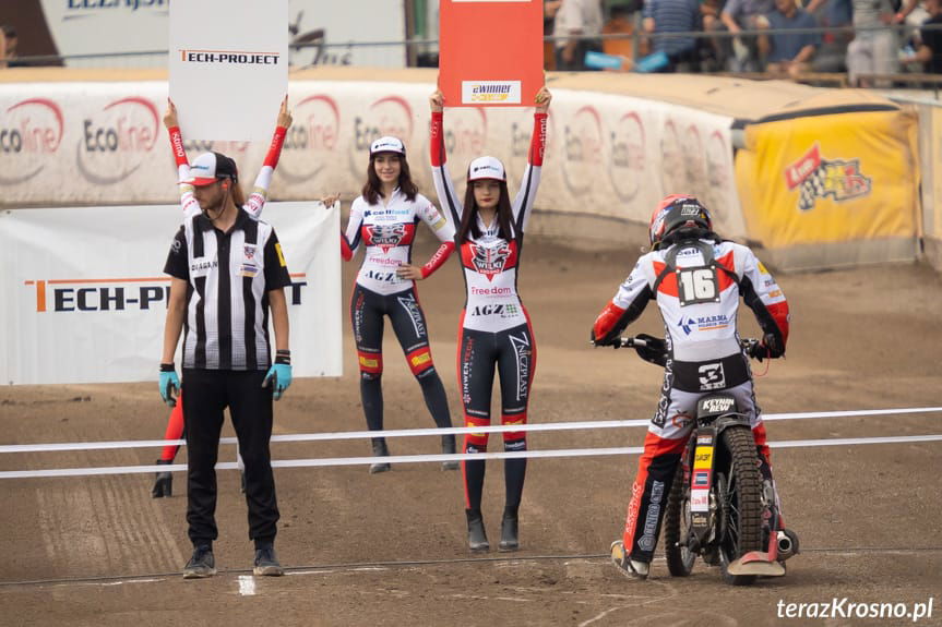 Cellfast Wilki Krosno - Zdunek Wybrzeże Gdańsk