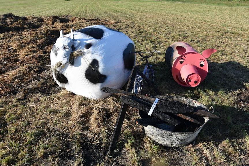 Spalili słomiane dekoracje w Niwiskach. Wpadli w ręce policji