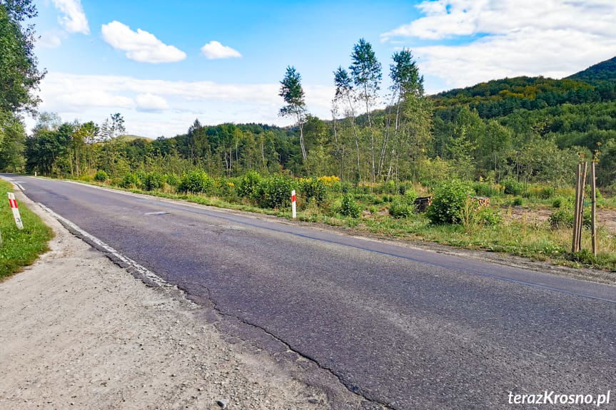 DW 991 Krosno - Lutcza