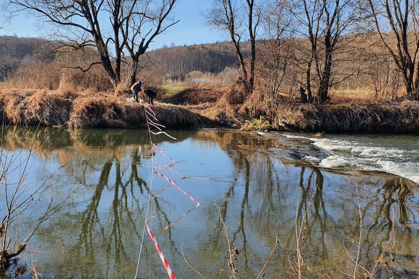 Sznurowanie rzeki Jasiołki w Jedliczu