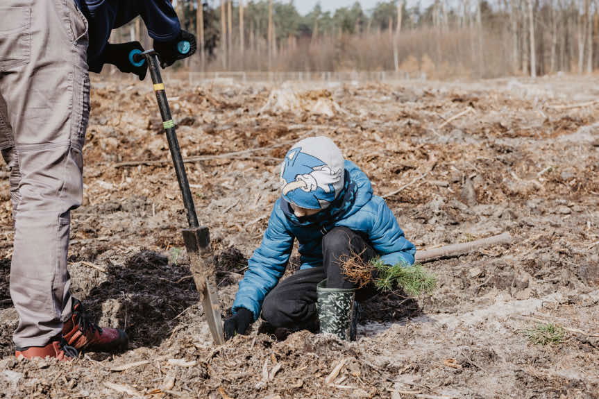 PGE posadziła ponad 4 tys. drzew w nadleśnictwie Głogów Małopolski