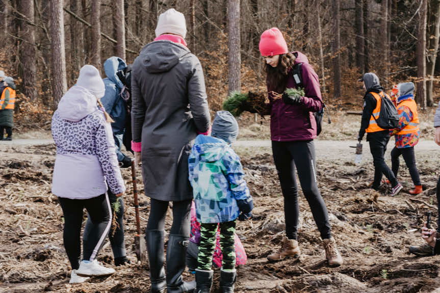 PGE posadziła ponad 4 tys. drzew w nadleśnictwie Głogów Małopolski
