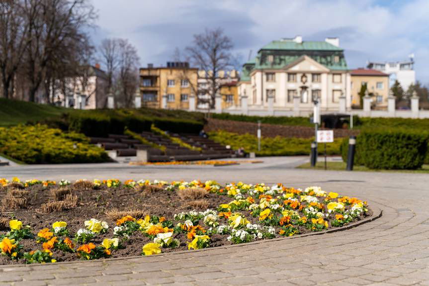 Wiosenne porządki w Rzeszowie. Trwają zamiatanie, nasadzenia i pielęgnacja zieleni
