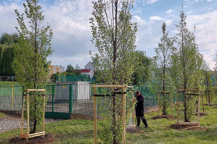 W piątek Piknik Ekologiczny Sadzimy Rzeszów