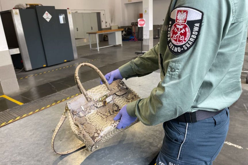 Krościenko. Torebka z chronionego węża w bagażu podróżnej