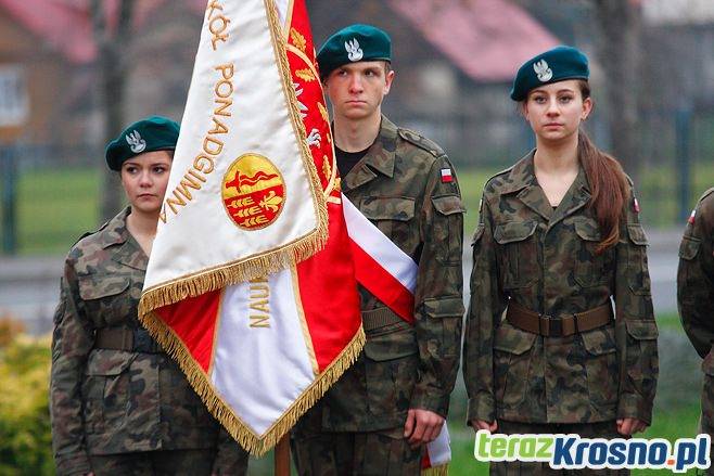 Powiatowe obchody Święta Niepodległości w Miejscu Piastowym