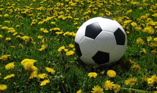 XIII plebiscyt na najpopularniejszych sportowców, trenerów i działaczy powiatu krośnieńskiego w 2013 roku