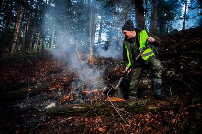 Pożar lasu w Nadleśnictwie Rymanów
