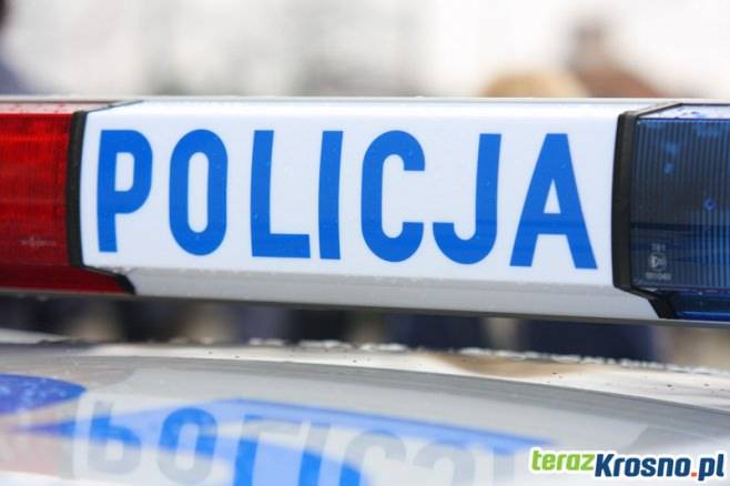 Działania Trzeźwy Autobus