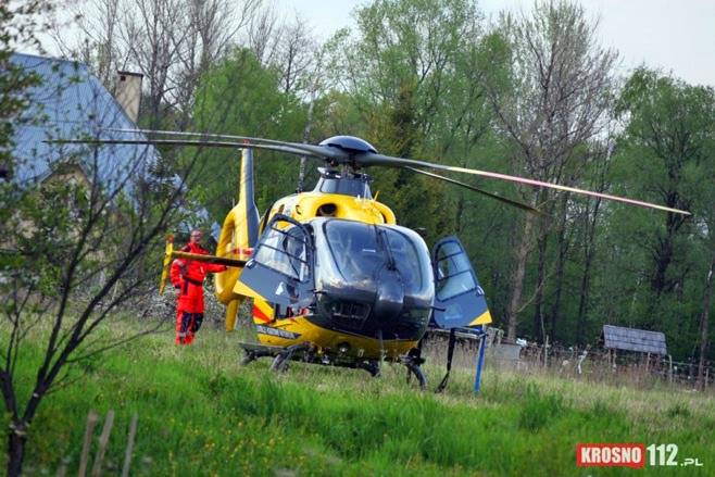 Dramat w Świerzowej Polskiej, pies pogryzł chłopca