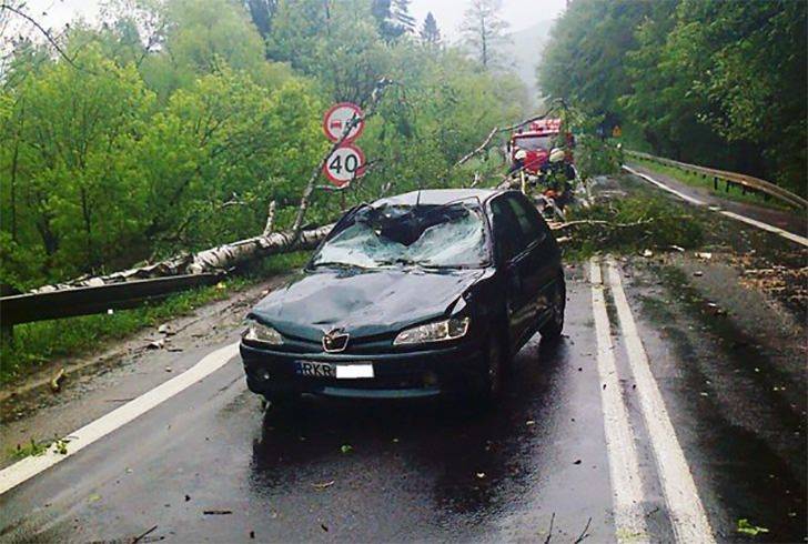 O krok od tragedii, drzewo spadło na samochód
