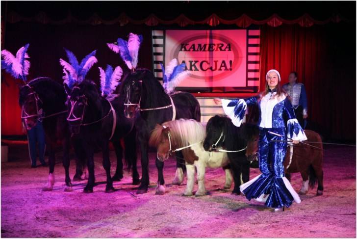 Cyrk Korona w Krośnie