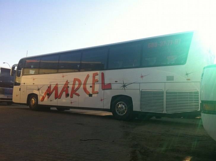 Opracuj projekt maskotki i wygraj tysiąc złotych