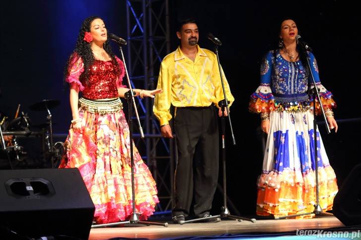 Dni Jedlicza 2014 - zdjęcia