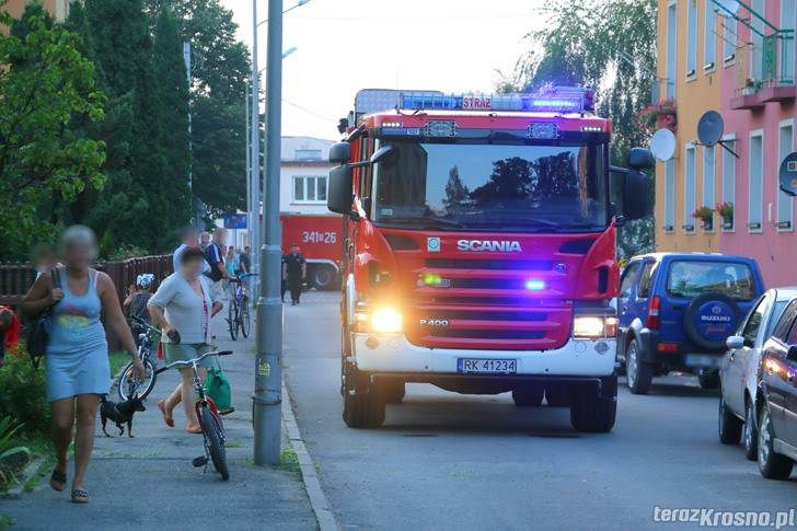 Spalone udko postawiło strażaków na nogi