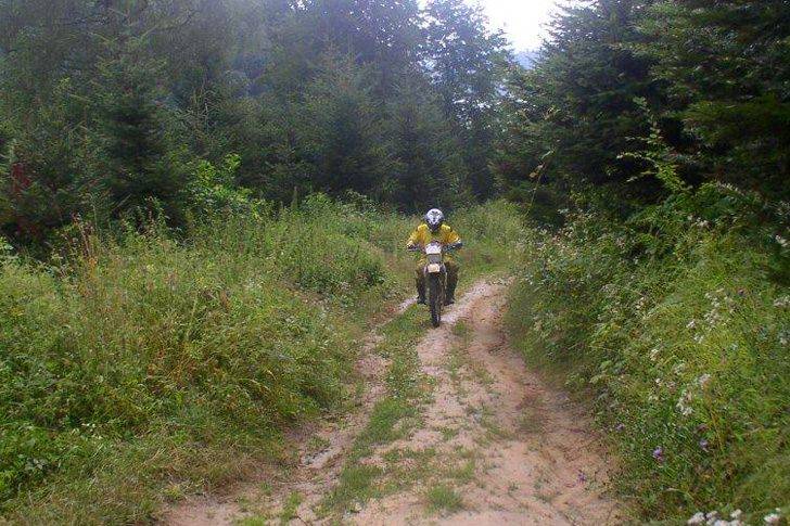 Bez pobłażania dla quadowców w lasach