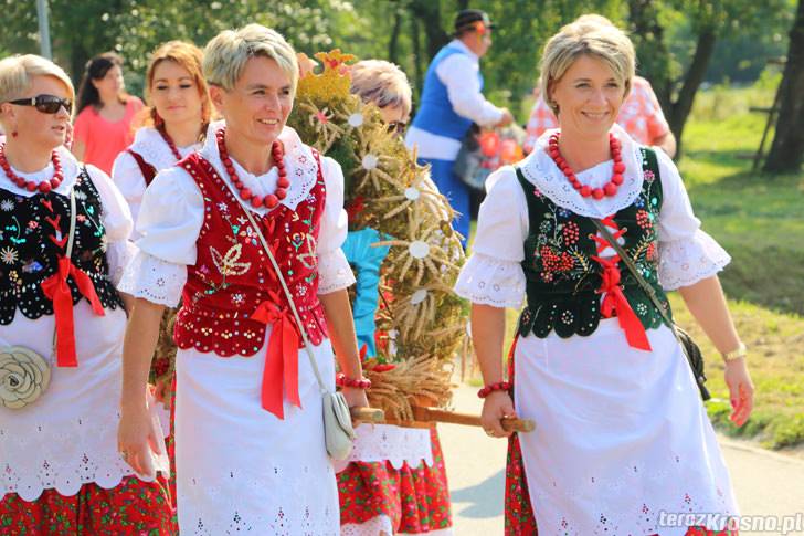 Korowód dożynkowy w Rogach 