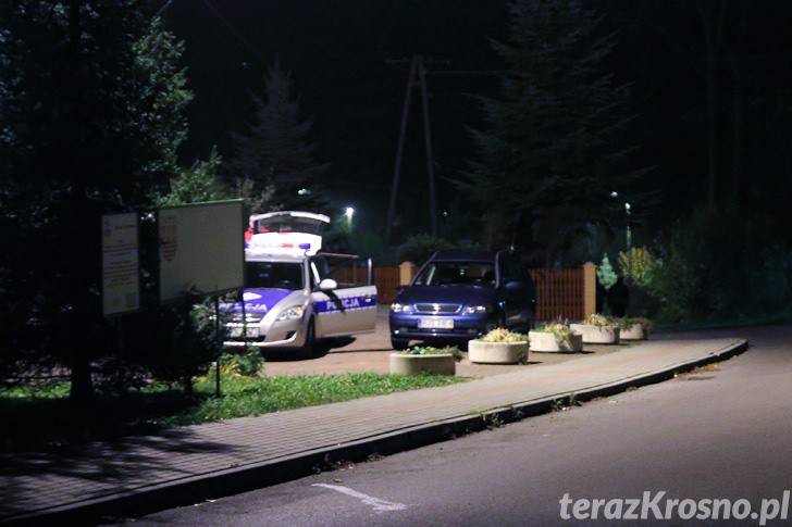 Potrącenie kobiety w Kobylanach