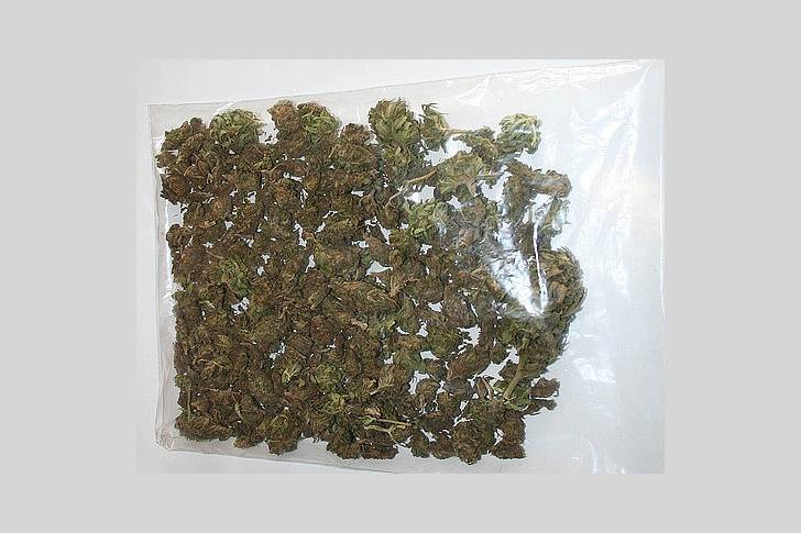 21-latek uprawiał konopie i sprzedawał narkotyki