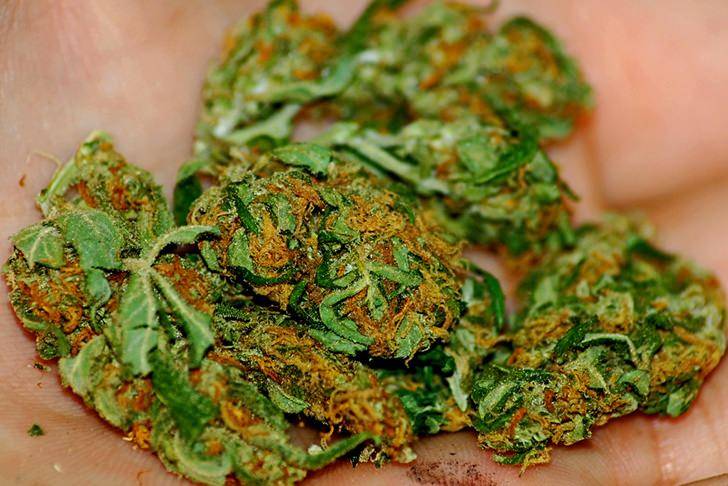 22-latek zatrzymany z narkotykami