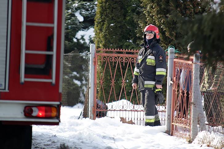 Sarna utknęła w ogrodzeniu